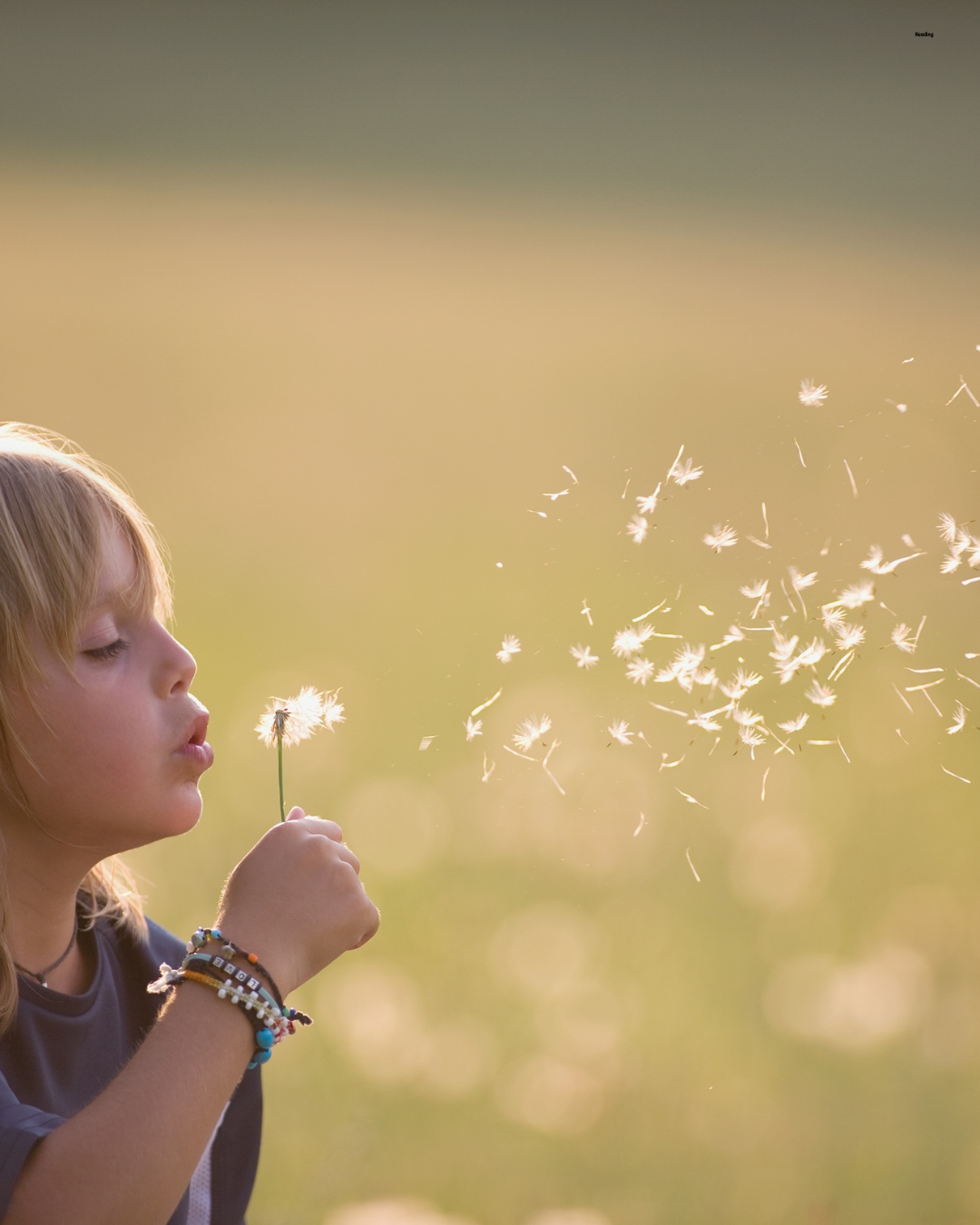 Child blowing a dandelion outdoors